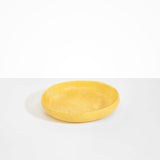 Dinosaur Designs Medium Earth Bowl Bowls in Pollen Colour resin
