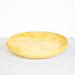 Dinosaur Designs Extra Large Earth Bowl in Daisy Colour resin.