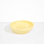 Dinosaur Designs Large Salad Bowl Bowls in Lemon Colour resin