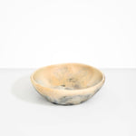 Dinosaur Designs Large Salad Bowl Bowls in Sandy Pearl Colour resin