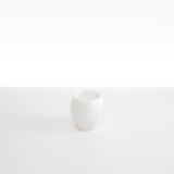 Dinosaur Designs Large Rock Cup in Snow Swirl Colour resin