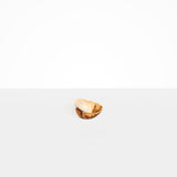 Dinosaur Designs Flow Spice Dish Tableware in Light Horn Colour resin