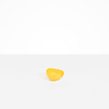 Dinosaur Designs Flow Spice Dish Tableware in Pollen Colour resin