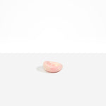 Dinosaur Designs DSHPLNDRFS small drift dish MINT .