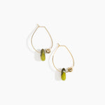Dinosaur Designs Joie De Vivre Hoop Earrings in Malachite Colour resin with Gold-Filled Material