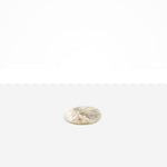 Dinosaur Designs Temple Coaster in Sandy Pearl Colour resin