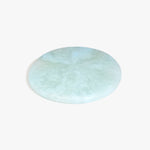Dinosaur Designs PLRTEMCHE temple cheese platter POOL ...