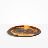 Dinosaur Designs Long Temple Platter in Dark Horn Colour resin
