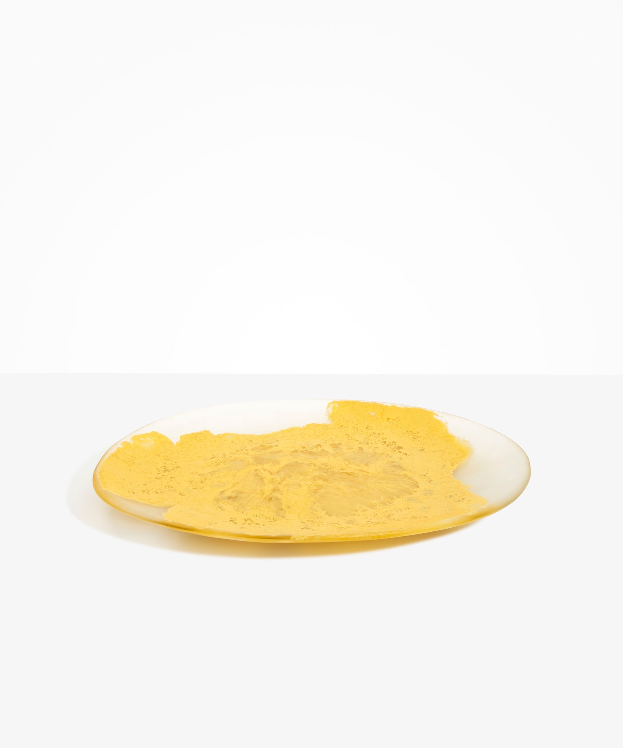 Dinosaur Designs Long Temple Platter in Pollen Colour resin..