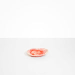 Dinosaur Designs Pebble Side Plate Serving Platters in Strawberry Colour resin