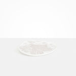 Dinosaur Designs Pebble Plate in Snow Swirl Colour resin