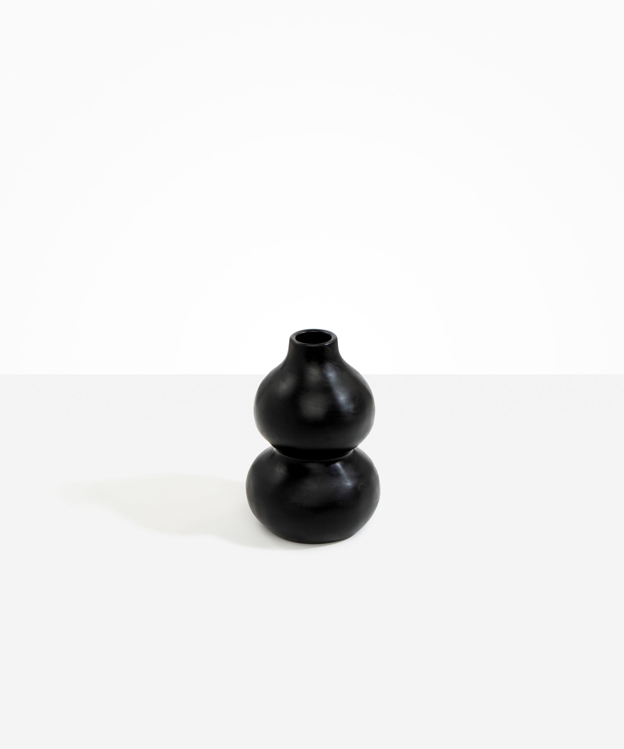 Dinosaur Designs Lotus Seed Vase in Black Colour resin