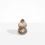 Dinosaur Designs Lotus Seed Vase in Cappuccino Colour resin