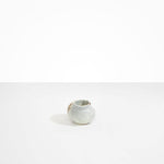 Dinosaur Designs Small Moss Vase Vases in Cappuccino Colour resin